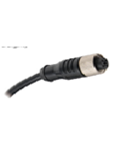 M12 Plug